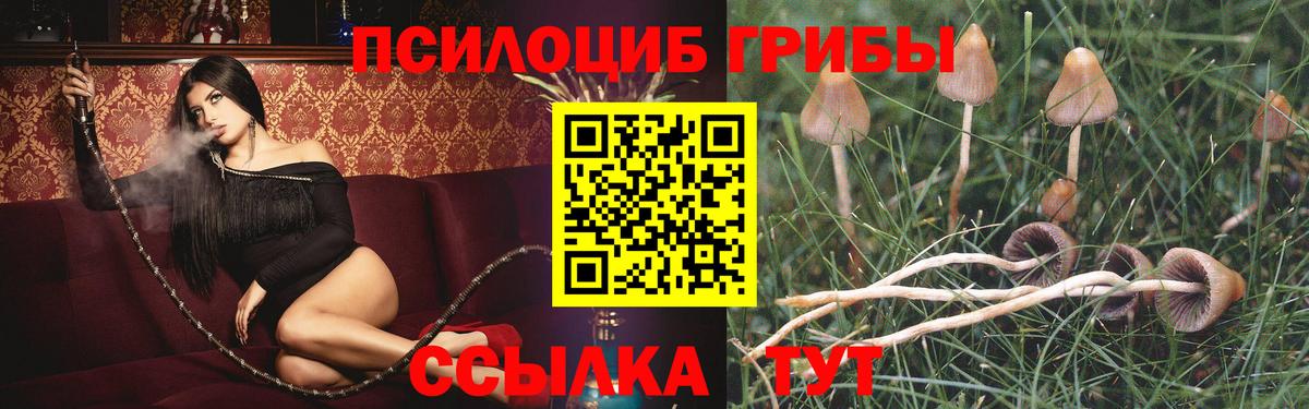 Псилоцибиновые грибы мицелий Ефремов