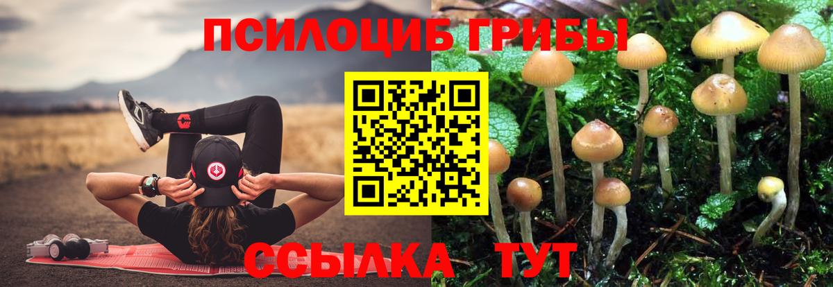 Ефремов  Псилоцибиновые грибы Magic Shrooms  Вход с VPN 